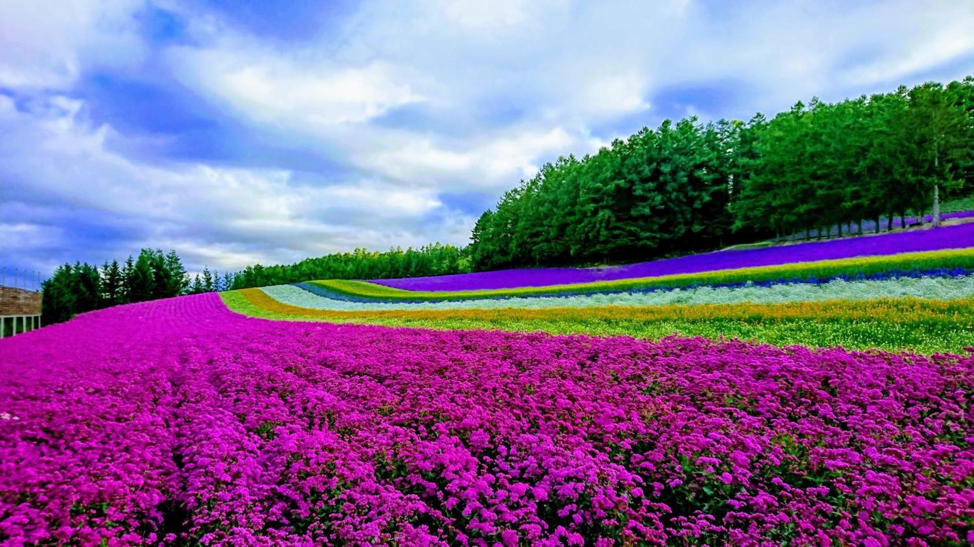 Вилла ふ A No 田園 Coterginupri Nakafurano Экстерьер фото